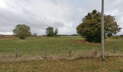 Avatacarphoto