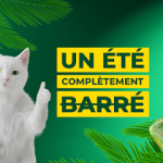 Centre Feu Vert PIERRY ⭐ ⭐ ⭐