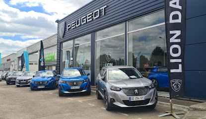 PEUGEOT - RIESTER EPERNAYphoto