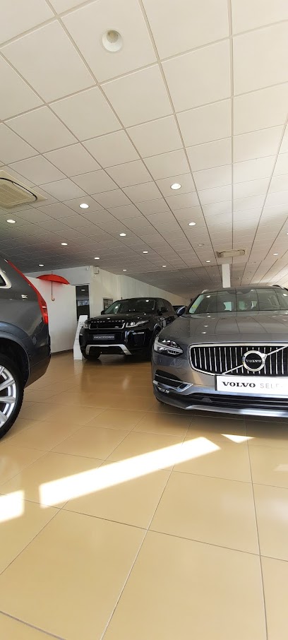 PRESTIGE CARS -Volvo-Servicephoto