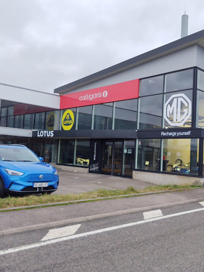 MG Motor Nancy - Théobald Automobilesphoto
