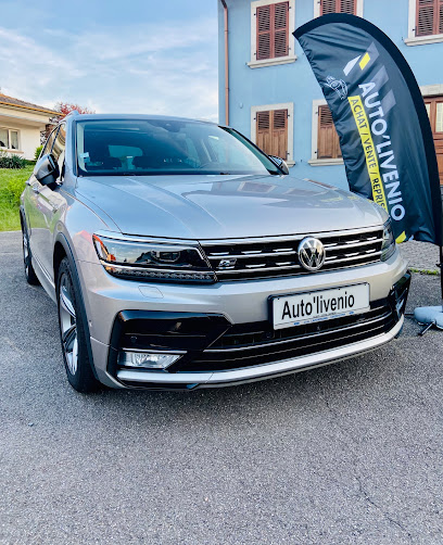 SERVICE CARTE GRISE ET CONCESSION AUTO’LIVENIOphoto