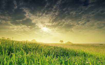 Monroux et Ciephoto