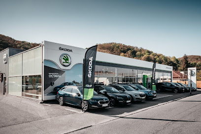 Škoda Vienne | Groupe Central Autos - concession automobilephoto